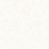 Design-sem-nome---2024-08-30T101400.239