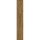 Design-sem-nome---2024-10-08T152020.916